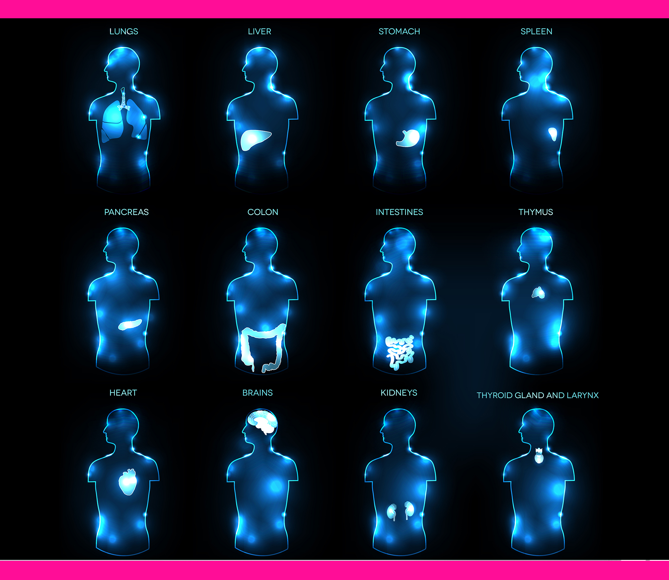 Beautiful female doctor talking on land line phone while using laptop at desk in clinic