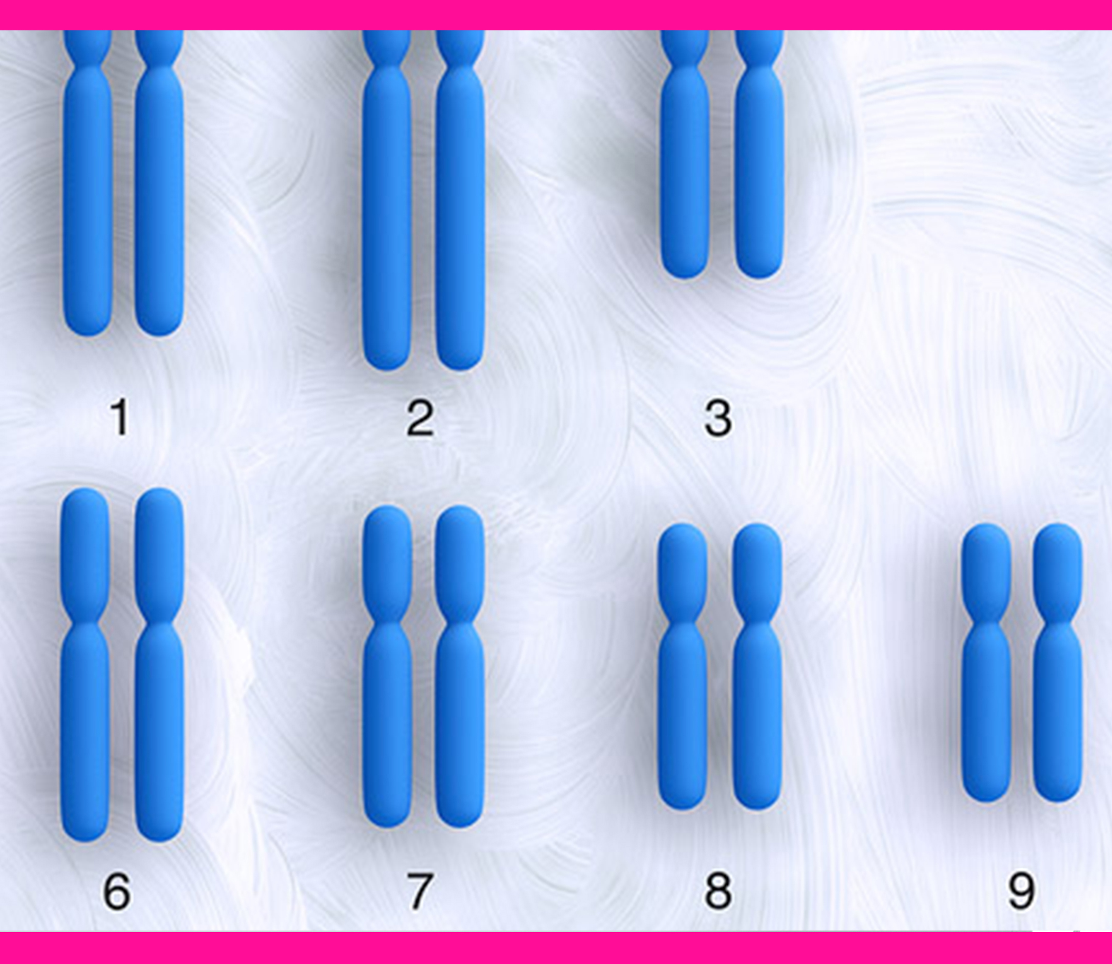 Beautiful female doctor talking on land line phone while using laptop at desk in clinic